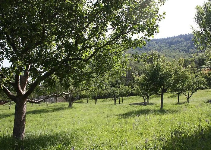 & Bildungshaus St. Jodern Visp